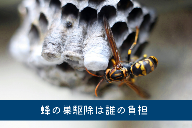 蜂 の 巣 駆除 は誰の 負担